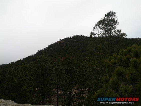 mountain covered in pine trees under a cloudy sky