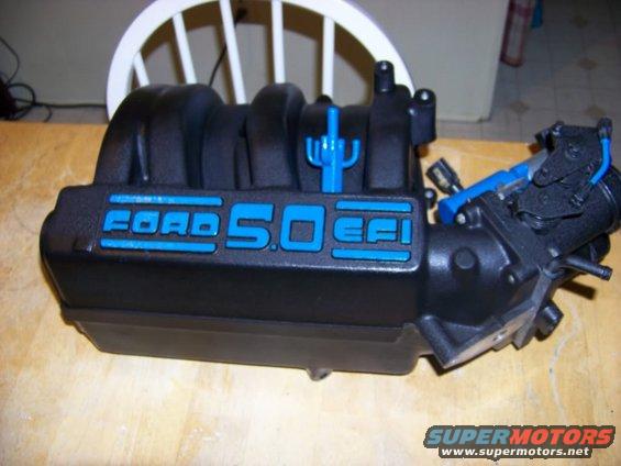 Ford 5.0 EFI intake manifold with blue lettering