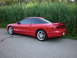 1996 Ford Probe - A red 1996 Ford Probe is viewed from the rear three-quarter angle, parked beside a dense wall of tall grass.
