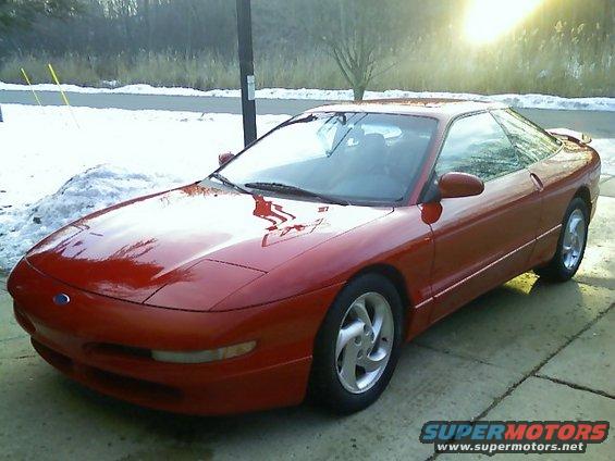 gt-probe-3.jpg This is what she looked like the first day I brought her home.