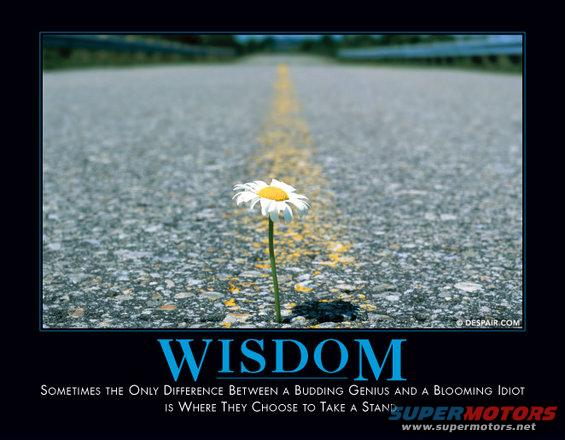 wisdom.jpg Wisdom

http://www.despair.com/