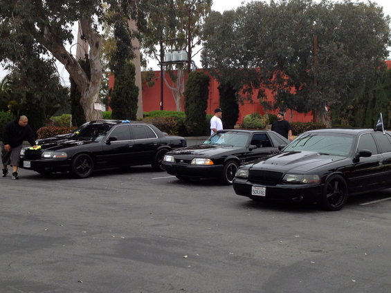 Three black cars parked: a Ford Crown Victoria, a Ford Mustang, and another Ford Crown Victoria
