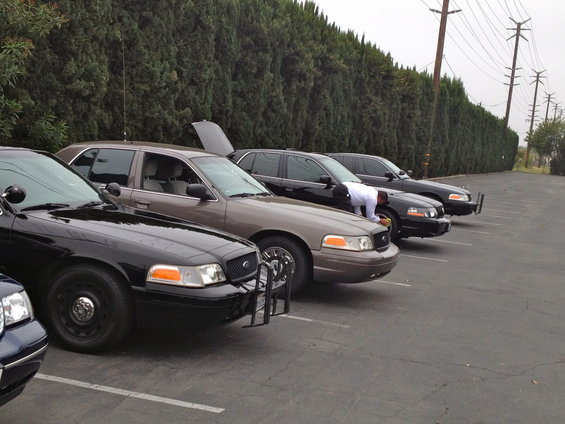 Several Ford Crown Victoria police cars parked in a lot, one with trunk open, another with a person leaning into the driver's side