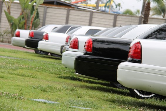 Rear view of white 2004 Ford Crown Victoria in a line with black sedans