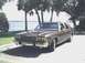 1987 Ford Crown Victoria LTD - This 1987 Ford Crown Victoria LTD is parked near a body of water under some trees.