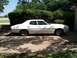1976 Ford Torino - changed out the CVPI center caps for those from an Explorer Sport Trac...