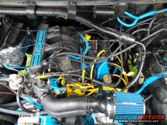 Engine bay with blue and yellow wiring, black intake manifold with blue "5.0" lettering, and blue air filter