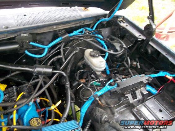Engine bay with blue wire loom covers and yellow spark plug wires