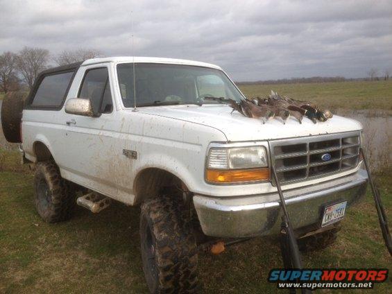 White 1992 Ford Bronco parked in a field with ducks on the hood and shotguns leaning on the grille
