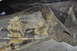 1986 Ford Bronco - Close-up view of a heavily rusted suspension component, likely from a vehicle's undercarriage.
