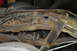1986 Ford Bronco - Heavily rusted suspension parts and frame components are visible in this close-up shot.