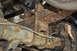 1986 Ford Bronco - Close-up of a heavily corroded rear axle and leaf spring suspension component.