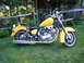1976 Yamaha Virago - A yellow motorcycle is parked on a grassy lawn with a wooden fence and trees in the background.