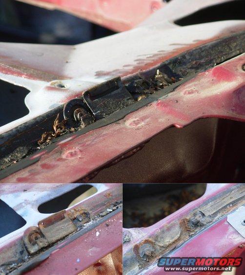 96wsclips.jpg The lower trim clips are buried in sealant, so it took some effort to remove them.  Surprisingly, all the clips & studs are OK.