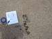 1992 Ford Bronco - Vehicle parts are shown on a concrete surface next to a handwritten diagram and blue tape.