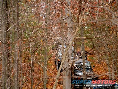 Group shot in the woods.