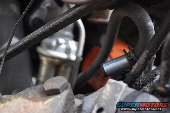 Close-up of engine hoses and a drive belt with metal components
