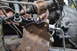 1986 Ford Bronco - Close-up view of engine parts with handwritten B2 labels, indicating a section of a vehicle's mechanical system.