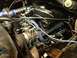 1982 Ford Bronco