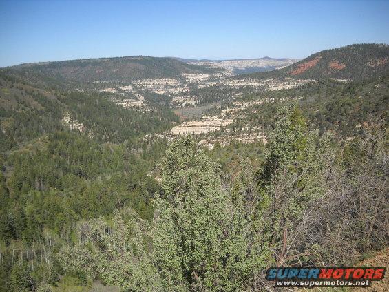 Mountainous terrain with pine trees and layered rock formations under a clear blue sky