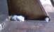 1979 Ford Bronco - Welds on metal components, likely from a repair or fabrication project.
