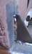 1979 Ford Bronco - This image shows a close-up view of welded metal, likely part of a vehicle frame or repair.