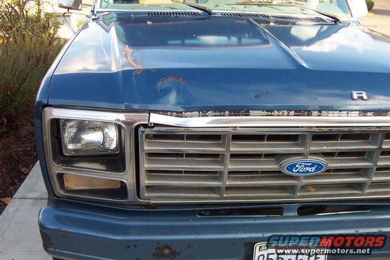 picture_1641.jpg 