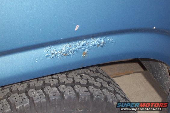 picture_1635.jpg 