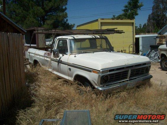 White 1975 Ford pickup truck front 3/4 view, overgrown with weeds