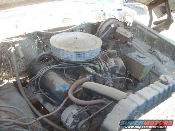 Engine bay with air cleaner, distributor, and radiator. Dusty and cobweb-covered