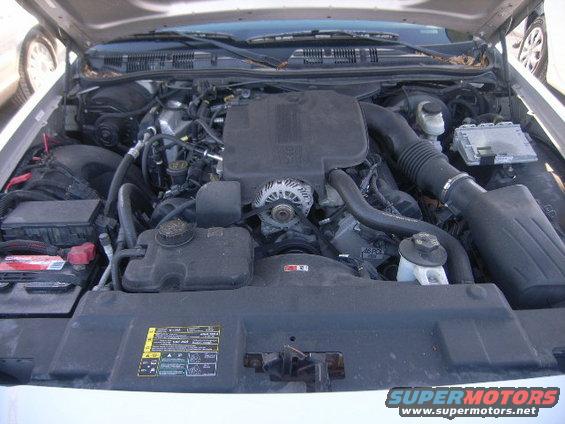Engine bay of a 2005 Ford Crown Victoria, showing the V8 engine, battery, and air intake system