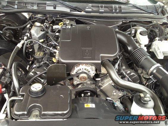 Engine bay with V8 engine cover, alternator, and coolant reservoir. Text '4.6 POL' visible