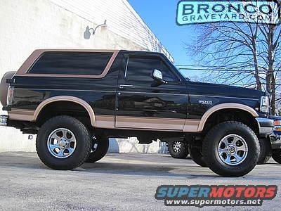 black--tan-bronco.jpg 