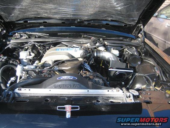 Engine bay of a Ford vehicle, showing V8 engine, Ford branding on fan shroud, and 'CAUTION FAN' text