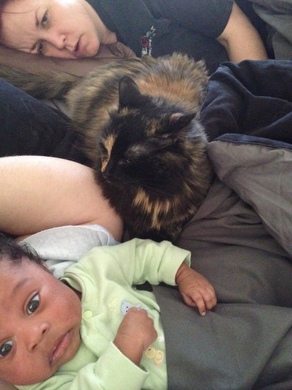 Baby in a green onesie and a tortoiseshell cat are in bed with a person