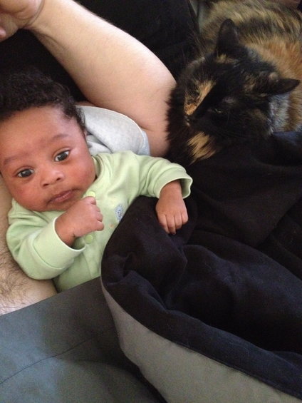 Baby in a light green onesie rests on a person's lap next to a tortoiseshell cat