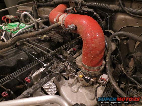 Red intake hose in engine bay