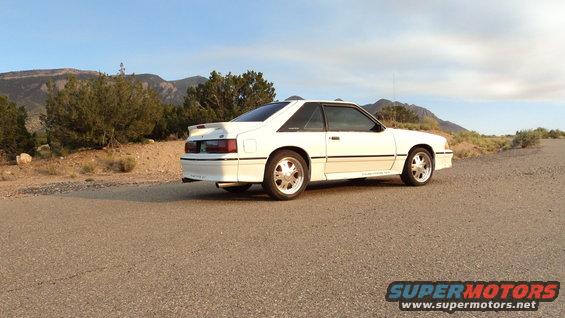 White 1989 Ford Mustang coupe with a spoiler parked on a rural road