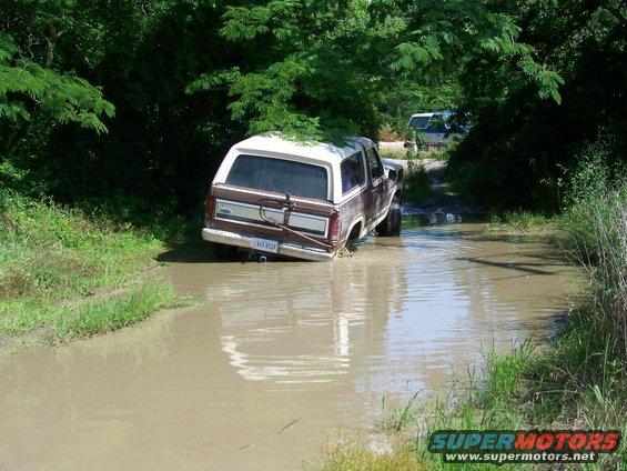 Brown and white Ford Bronco stuck in muddy water, rear view
