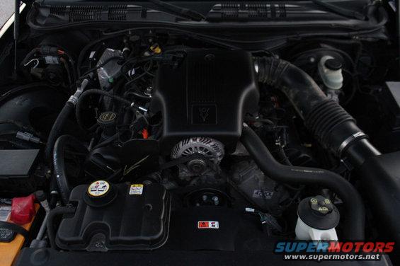 Engine bay of a 2004 Ford Crown Victoria P71. Shows the engine, alternator, air intake, and coolant reservoir