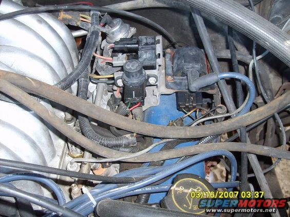 Engine bay close-up showing distributor cap and spark plug wires