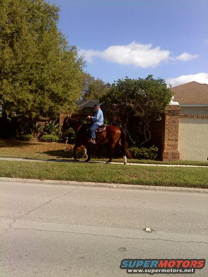Man riding a brown horse on a sidewalk