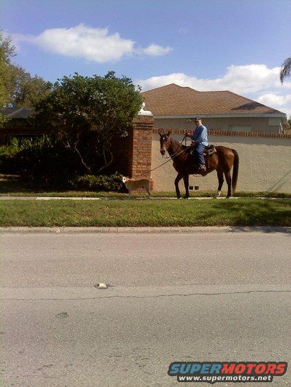 Man rides a brown horse down a sidewalk next to a brick wall, with a dog walking beside him