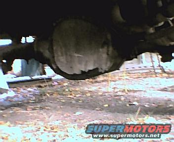 rear2.jpg Shot still in.