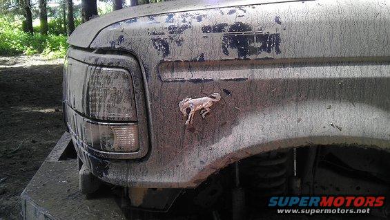 Mud-covered 1995 Ford Bronco front fender with running horse emblem