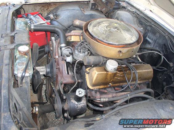 p1010176.jpg Heres the 390 thats under the hood 