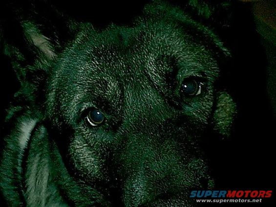 ravin01.jpg look at that face