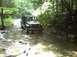 1995 Ford Bronco photo