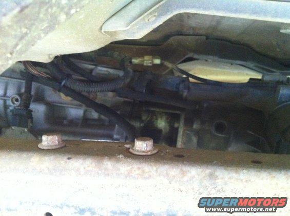 Vehicle underbody showing transmission and wiring harness