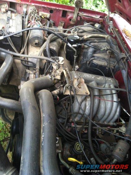 Engine bay with Ford intake manifold and hoses
